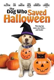 A kutya, aki megmentette a Halloweent😂