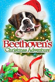 Beethoven karácsonyi kalandja😂🧝