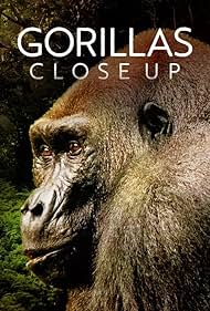 Gorillák vonzásában