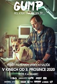 Gump - A kutya, amely megtanította az embereket élni.☀️