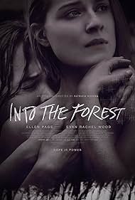Into the Forest📟🕷️