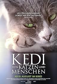 Kedi: Isztambul macskái