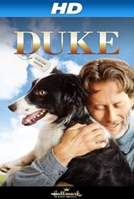 Kutyám Duke😂