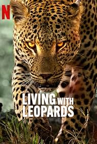 Leopárdok nyomában🌿
