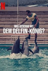 Mi történt a delfinkirállyal?