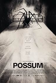 Oposszum😱😱😱🕷️