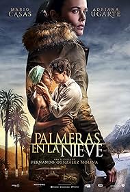 Pálmafák a hóban