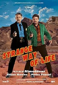 Strange Way of Life🌵