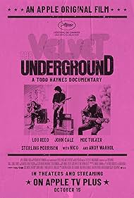 The Velvet Underground🎵
