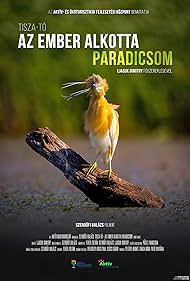 Tisza-tó, az ember alkotta Paradicsom