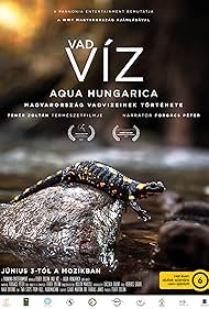 Vad víz - Aqua Hungarica