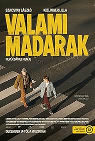 Valami madarak😂